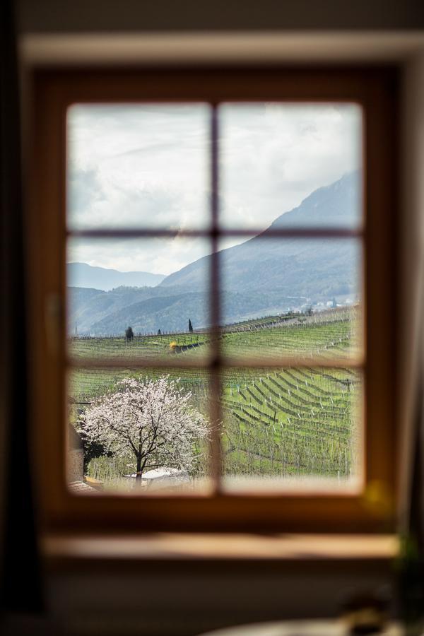 Hotel Masatsch Caldaro Dış mekan fotoğraf